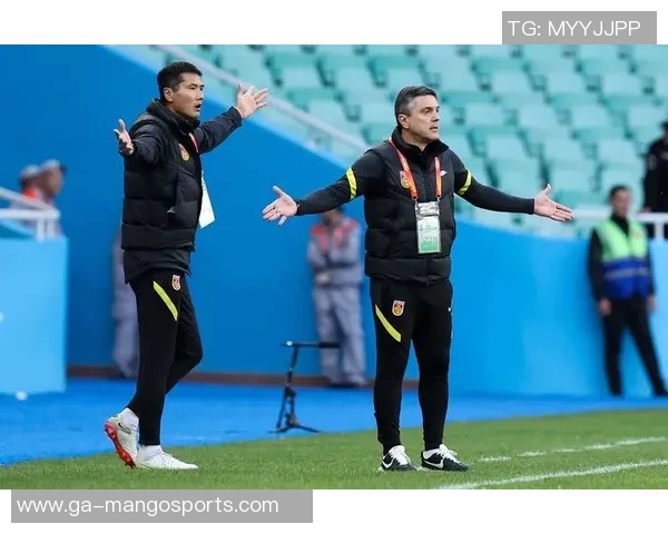 黑镇市U20对决悉尼U20青年足球赛精彩回顾与分析